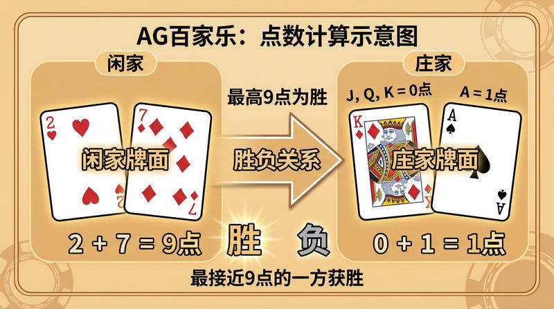 零基础入门：AG百家乐玩法规则与赔率详解